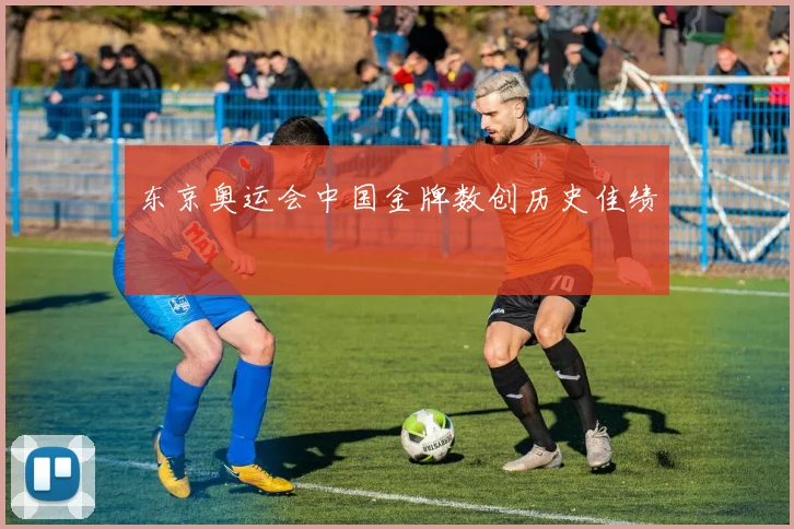 东京奥运会中国金牌数创历史佳绩