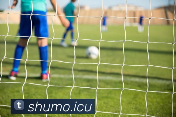 九游网页版登录入口 - 九游(中国)服务体系