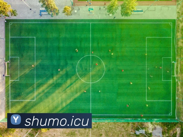 电竞数据