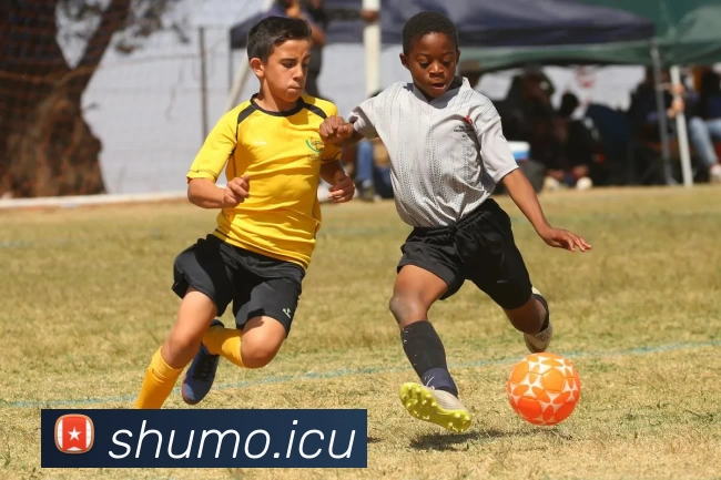 九游网页版登录入口 - 九游(中国)APP 体育赛事宣传图